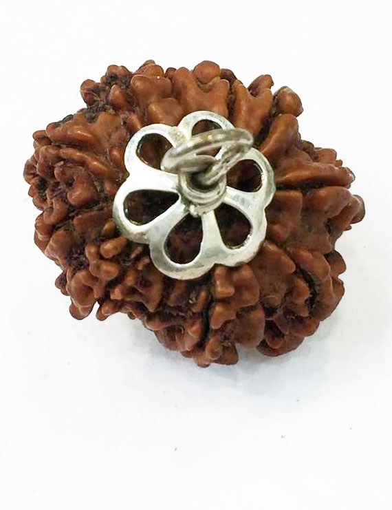 11 Mukhi Nepali Certified Rudraksha Silver Pendant